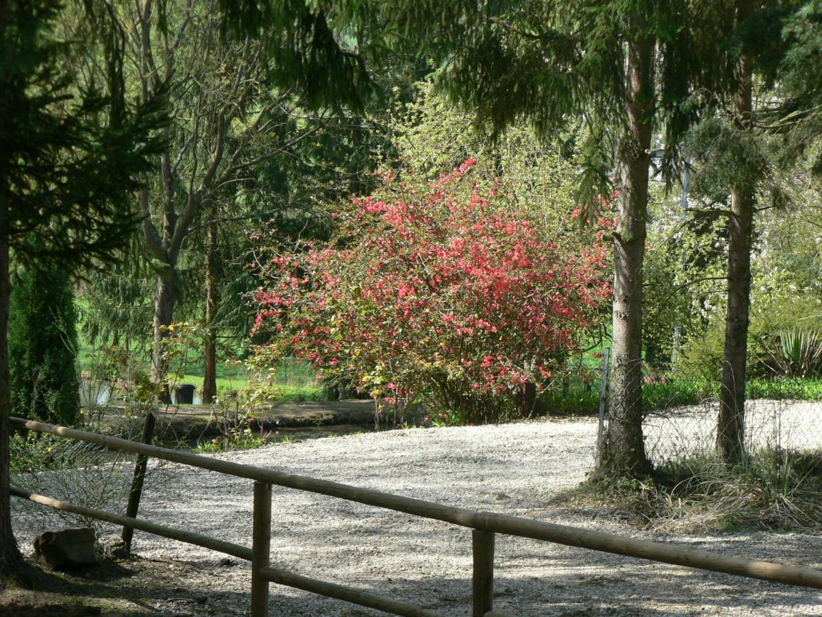 Etangs Du Moulin Suzy Quarto foto